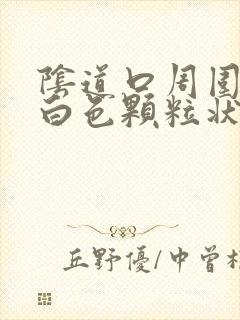 阴道口周围出现白色颗粒状