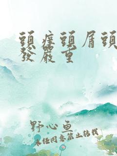 头痒头屑头油掉发严重