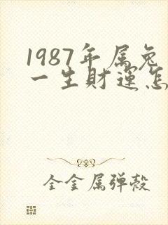 1987年属兔一生财运怎么样