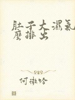 肚子大湿气重怎么排出