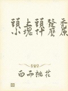 头上头发秃了一小块什么原因