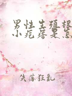 男性生殖根部有小疙瘩是怎么回事