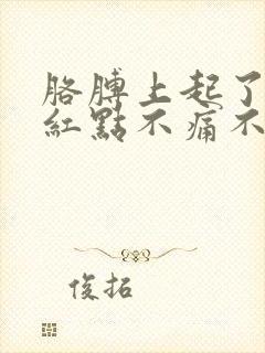 胳膊上起了好多红点不痛不痒