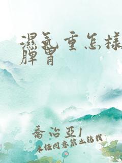 湿气重怎样调理脾胃