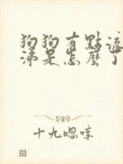 狗狗有点流清鼻涕是怎么了