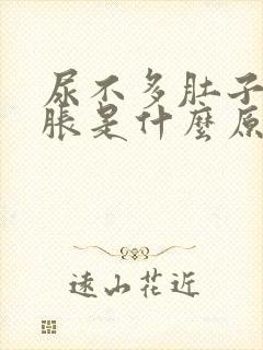 尿不多肚子却很胀是什么原因