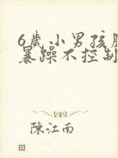 6岁小男孩脾气暴躁不控制情绪