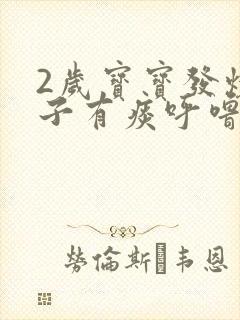 2岁宝宝发烧嗓子有痰呼噜呼噜的怎么办