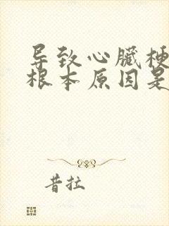 导致心脏梗塞的根本原因是什么