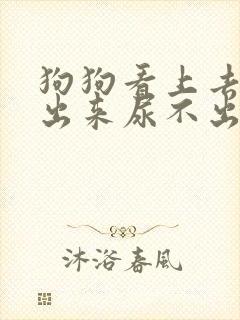 狗狗看上去拉不出来尿不出来