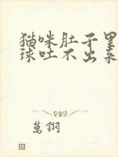 猫咪肚子里有毛球吐不出来怎么办