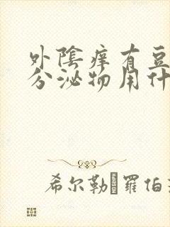 外阴痒有豆腐渣分泌物用什么药