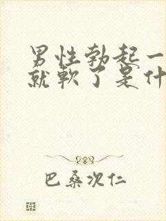 男性勃起一会儿就软了是什么原因