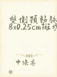 双侧颈动脉0.8x0.25cm斑块严重吗