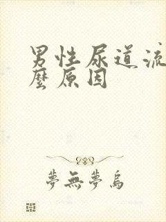 男性尿道流血什么原因