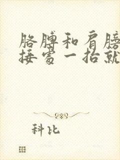 胳膊和肩膀的连接处一抬就疼还响