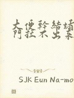 大便干结堵在肛门拉不出来怎么办