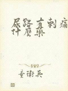 尿路有刺痛感吃什么药