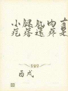 小腿肌肉有个硬疙瘩还疼是怎么回事