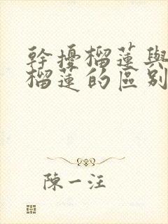 干扰榴莲与金枕榴莲的区别