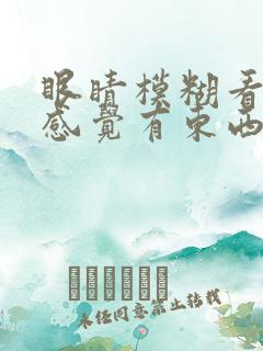 眼睛模糊看不清感觉有东西是怎么回事