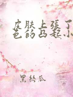 皮肤上张了个红色的凸起小圆疙瘩