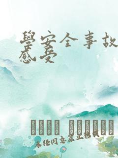 学安全事故案例感受