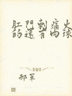 肛门刺痛火辣辣的还有肉球