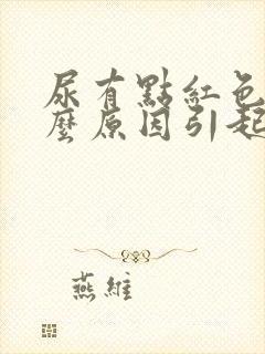 尿有点红色是什么原因引起的