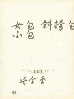女包 斜挎包 小包