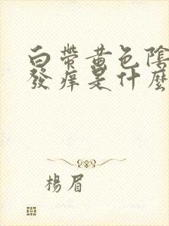 白带黄色阴道口发痒是什么原因