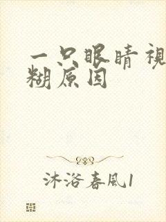 一只眼睛视力模糊原因