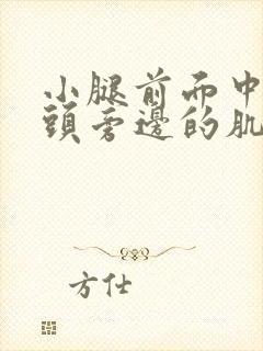 小腿前面中间骨头旁边的肌肉酸痛