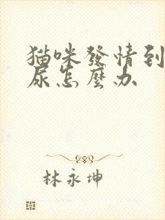 猫咪发情到处乱尿怎么办