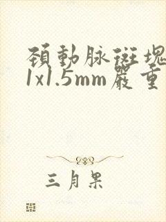颈动脉斑块5.1x1.5mm严重吗?