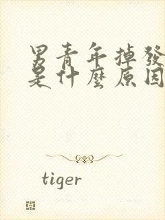 男青年掉发严重是什么原因造成的