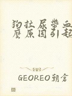 狗拉尿带血是什么原因引起的