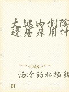 大腿内侧阴囊两边瘙痒用什么药膏