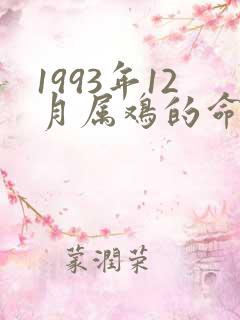 1993年12月属鸡的命运