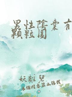 男性阴囊有小肉颗粒图