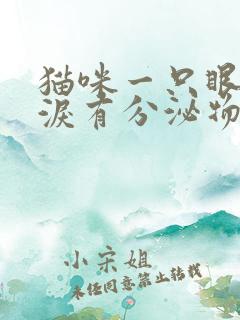 猫咪一只眼睛流泪有分泌物睁不开