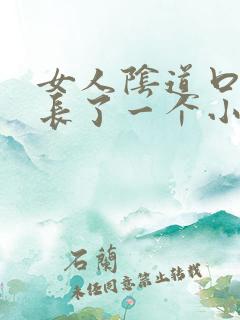 女人阴道口上面长了一个小米粒