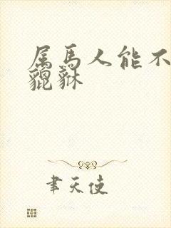 属马人能不能带貔貅