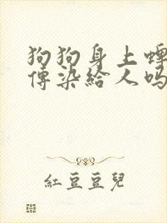 狗狗身上蜱虫会传染给人吗