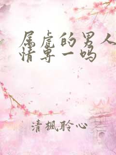 属虎的男人对感情专一吗