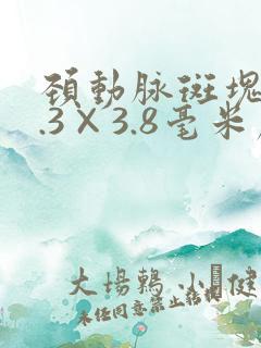 颈动脉斑块12.3×3.8毫米严重吗