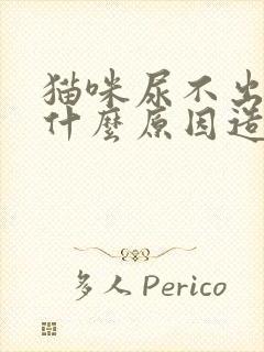猫咪尿不出来是什么原因造成的