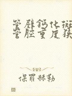 管壁钙化斑块,管腔重度狭窄