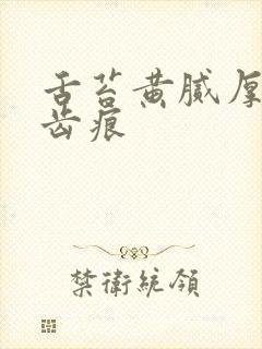 舌苔黄腻厚白有齿痕