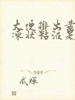 大便排出黄色果冻状粘液是怎么回事